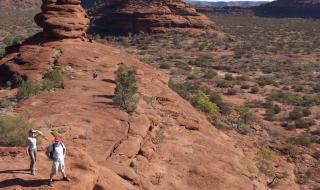 Looking over Palm Valley