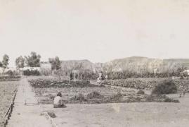 The vegetable garden at Hermannsburg